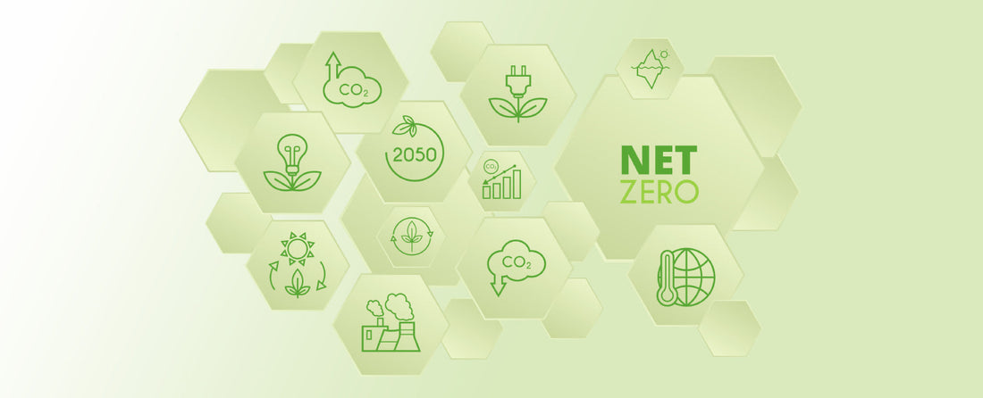 QDOS | Amfori - Sustainable Improvements Made Simple