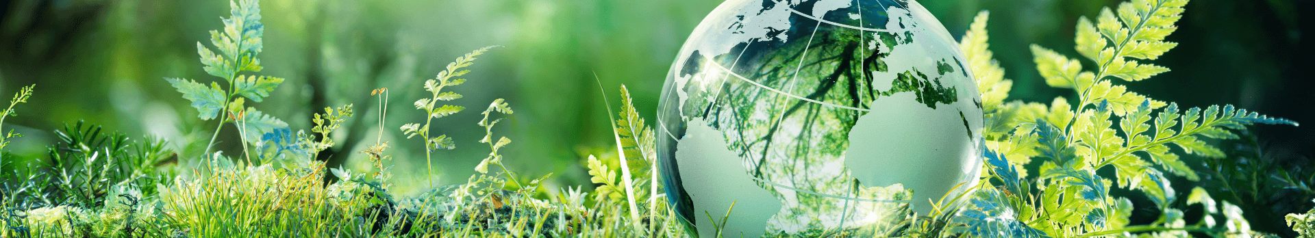 Eco Promise – QDOS